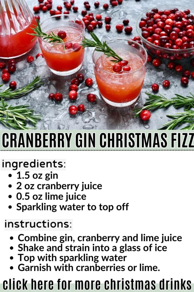 CRANBERRY GIN CHRISTMAS FIZZ