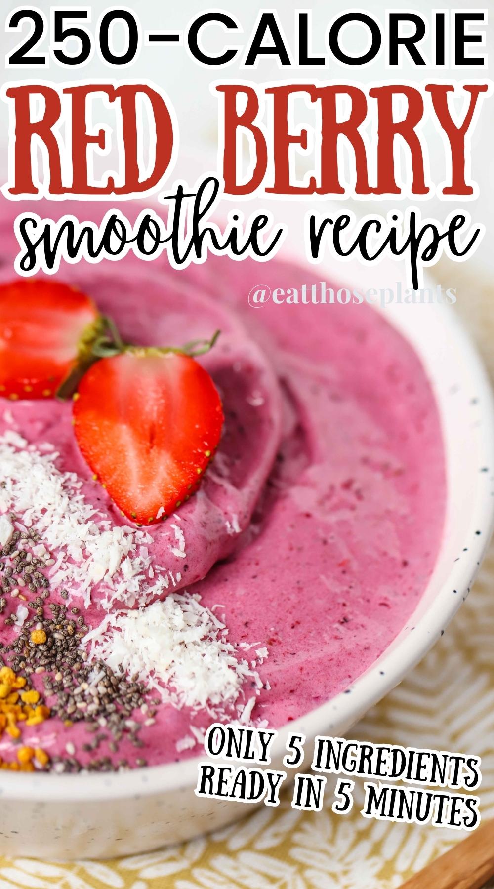 High-Protein Berry Smoothie Bowl (Vegan Breakfast On The Go) – Eat