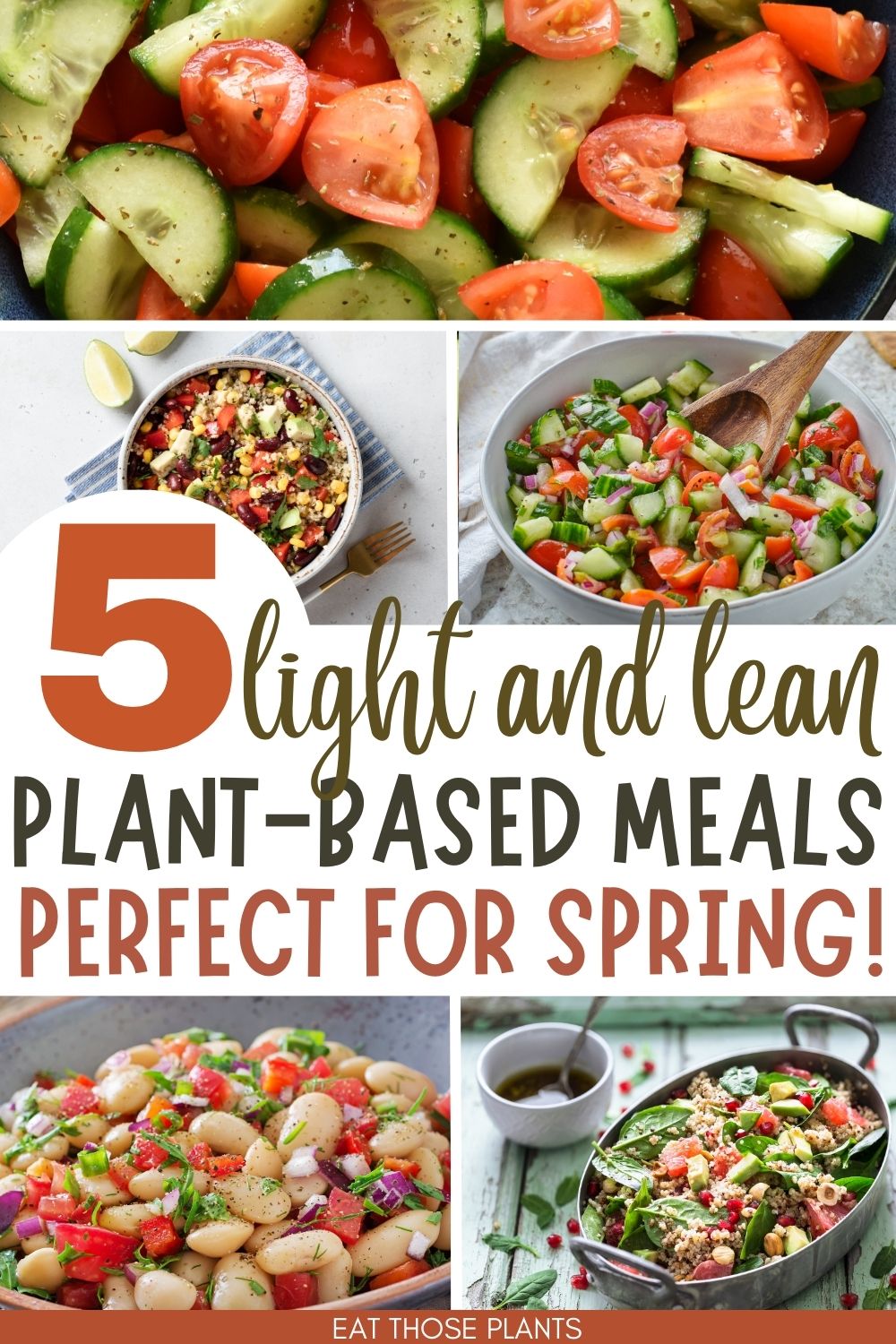 clean eating plant based spring meals