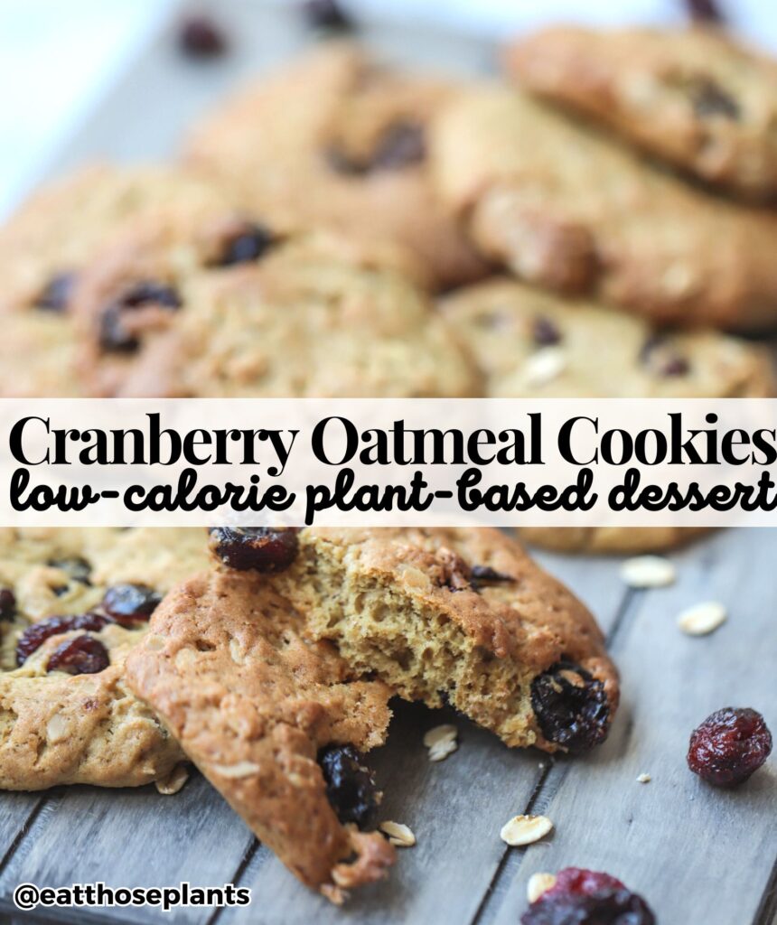 cranberry oatmeal cookies plant based