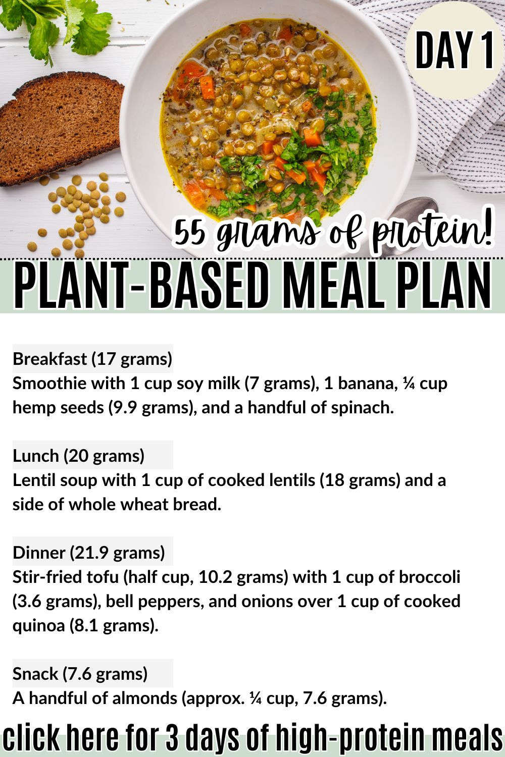 day 1 high protein vegan meal plan