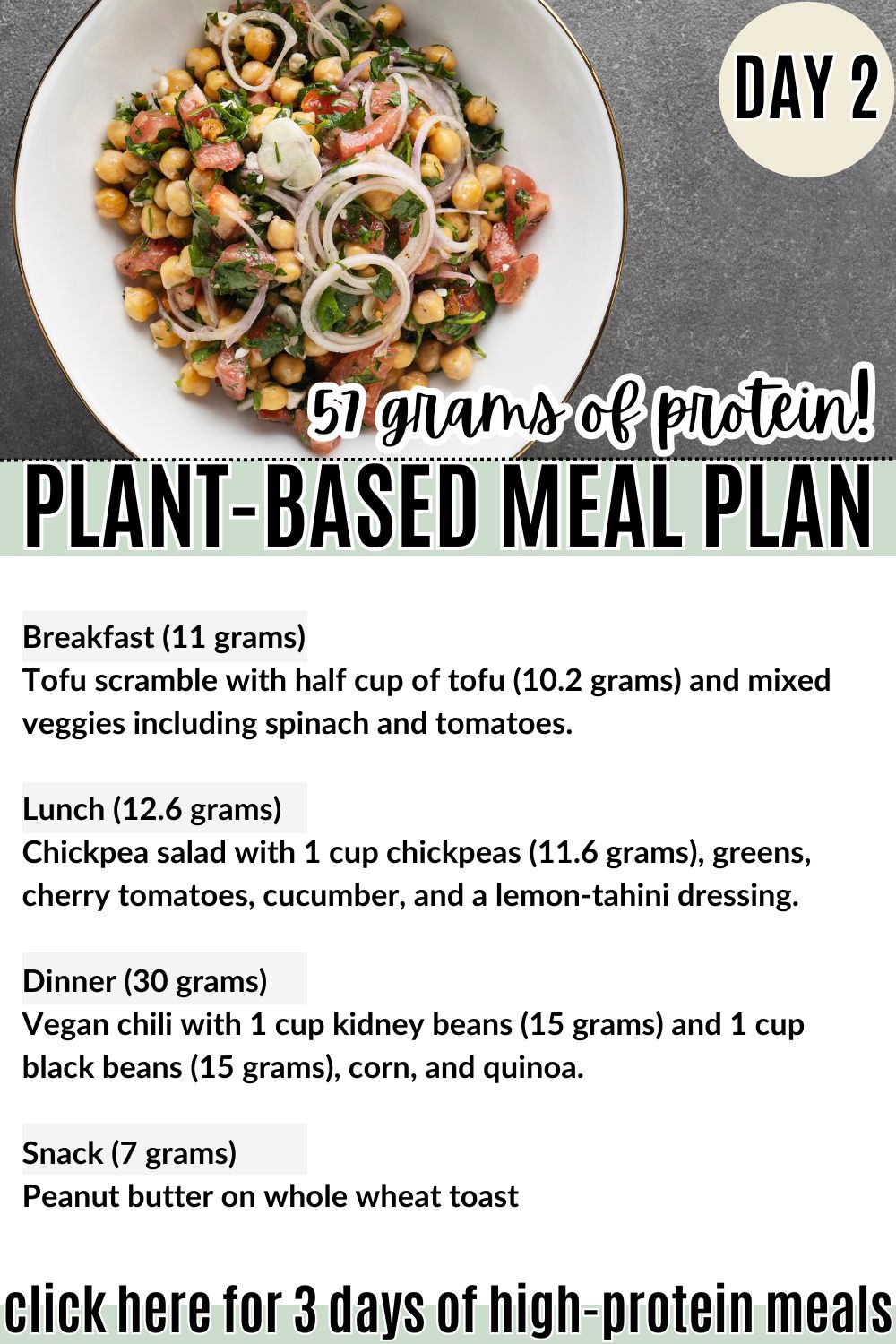 day 2 high protein vegan meal plan