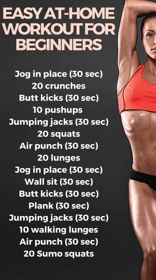 easy at home workout beginners no equipment