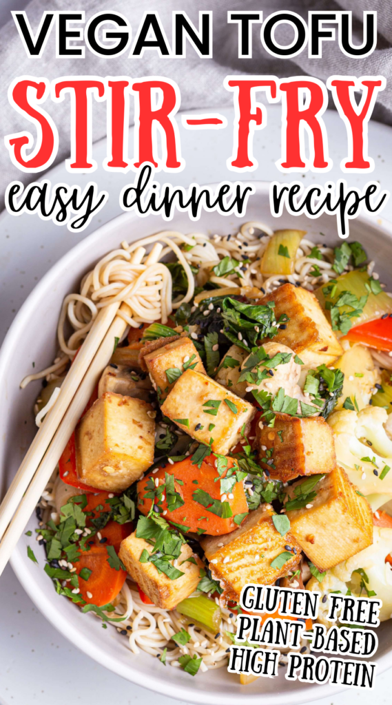 This easy dinner recipe idea is great for beginners to the plantbased lifestyle or vegan lifestyle! This vegan spicy ramen noodle recipe is made with tofu and either ramen noodles or shirataki noodles for a low-calorie option. Crispy tofu makes this a high-protein and filling vegan dinner option that is great for the whole family! 