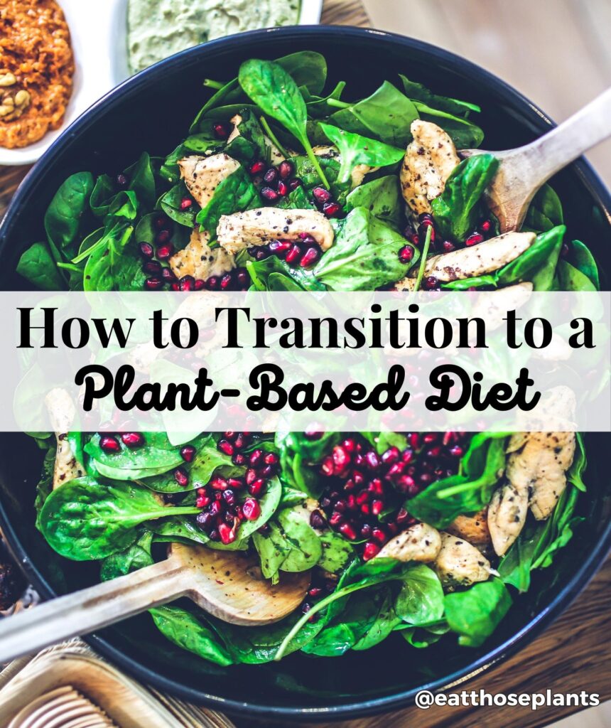 how to transition to a plant based diet vegan beginner tips weight loss