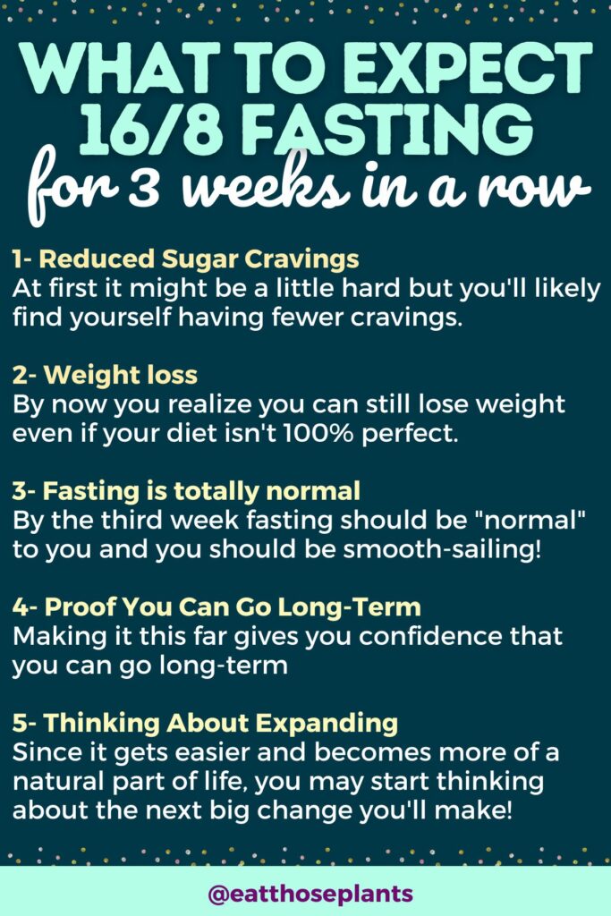 Intermittent Fasting 3 Weeks Results (Progress Update)