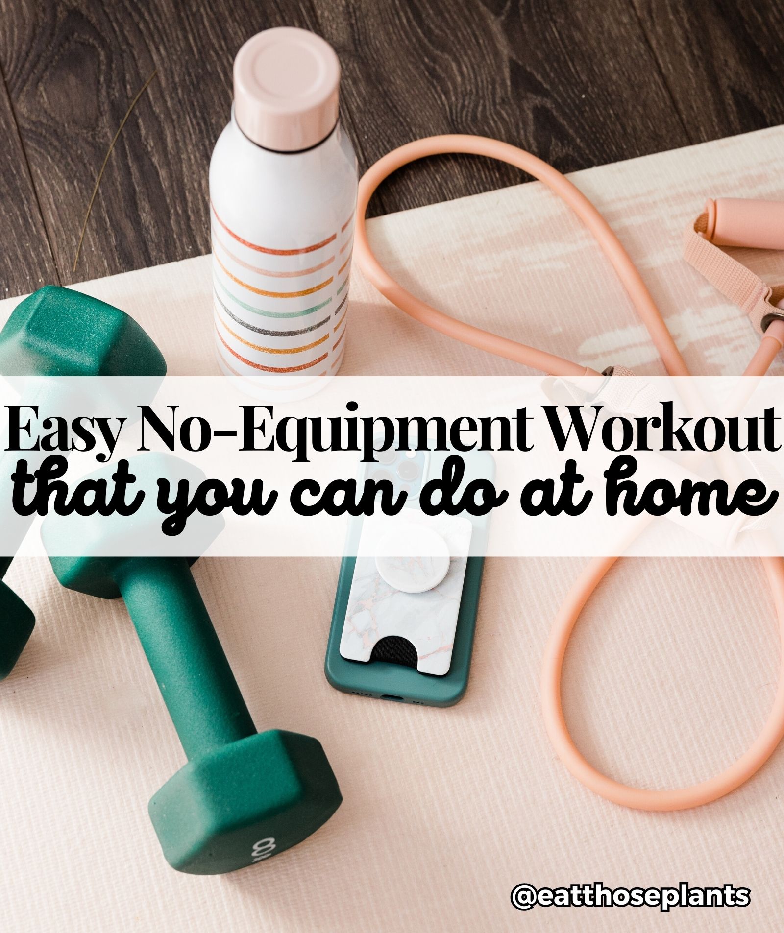 No-Equipment Easy Home Workout For Beginners