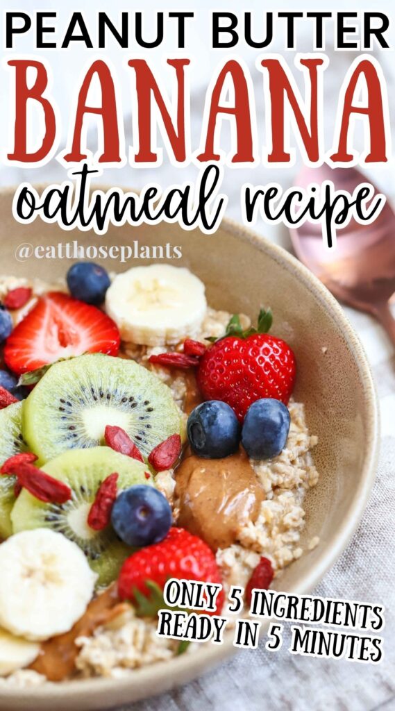 easy peanut butter banana oatmeal breakfast recipe with fruit