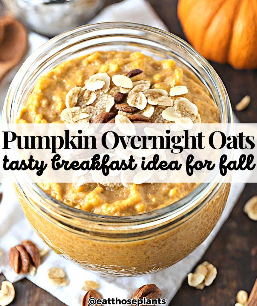 plant-based pumpkin overnight oats vegan breakfast on the go